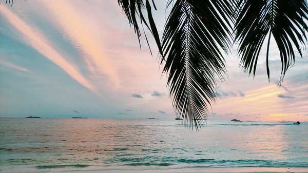 Comment organiser un séjour en Espagne avec des cours de danse flamenco et des dégustations de tapas ?